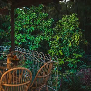 Apto Br 6 Min De Provenza, Encanto Natural , Medellín Colombia